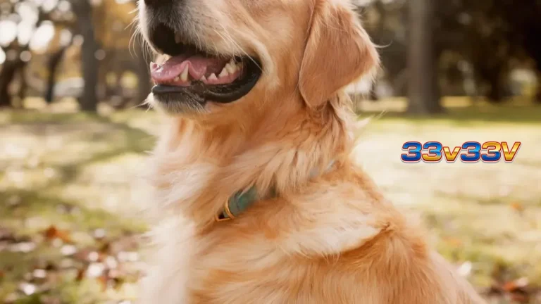 Anjing jenis caramelo yang menjadi inspirasi utama dalam permainan slot Caramelo Sortudo.